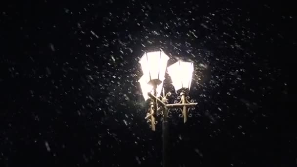 街路灯がゆっくりと雪を照らす。雪の降る夜の冬の街灯。クリスマスと新年のための美しい雪。街灯と夜の降雪 — ストック動画