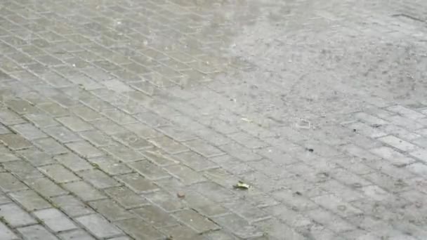Letni ulewny deszcz z grad. Krople deszczu spadają na zalaną drogę. Duże krople deszczu. Jesienne krople deszczu wpadają do dużej kałuży, zalewającej ulicę. — Wideo stockowe