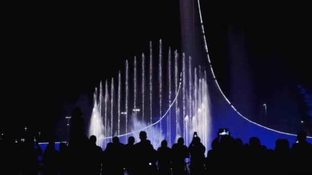 Група людей насолоджується нічним видом на місто, світлом, шоум музичного фонтану. Зворотній перегляд людей зі смартфоном, які фотографують показ танцювальних фонтанів — стокове відео