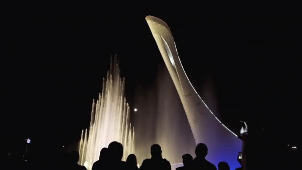 Menschen Silhouetten auf einem Hintergrund helle Farbe Brunnen. Gruppe von Menschen genießen den nächtlichen Blick auf die Stadt und die Licht- und Musik-Brunnenshow. — Stockvideo