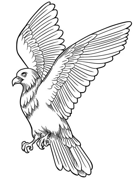 Icono de pájaro águila. Emblema heráldico vectorial de poderoso halcón salvaje con embragues de estiramiento . — Vector de stock