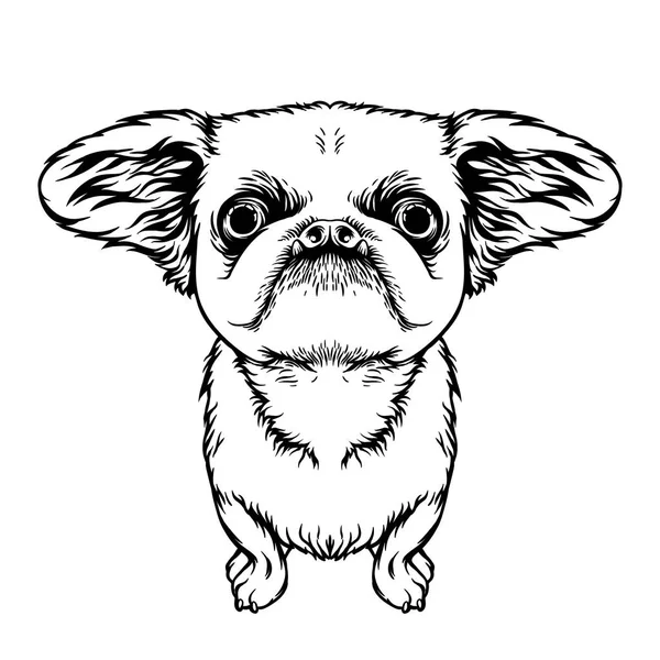 Kawaii Zwarte Hond Met Belettering Alles Wat Nodig Hebt Liefde — Stockvector