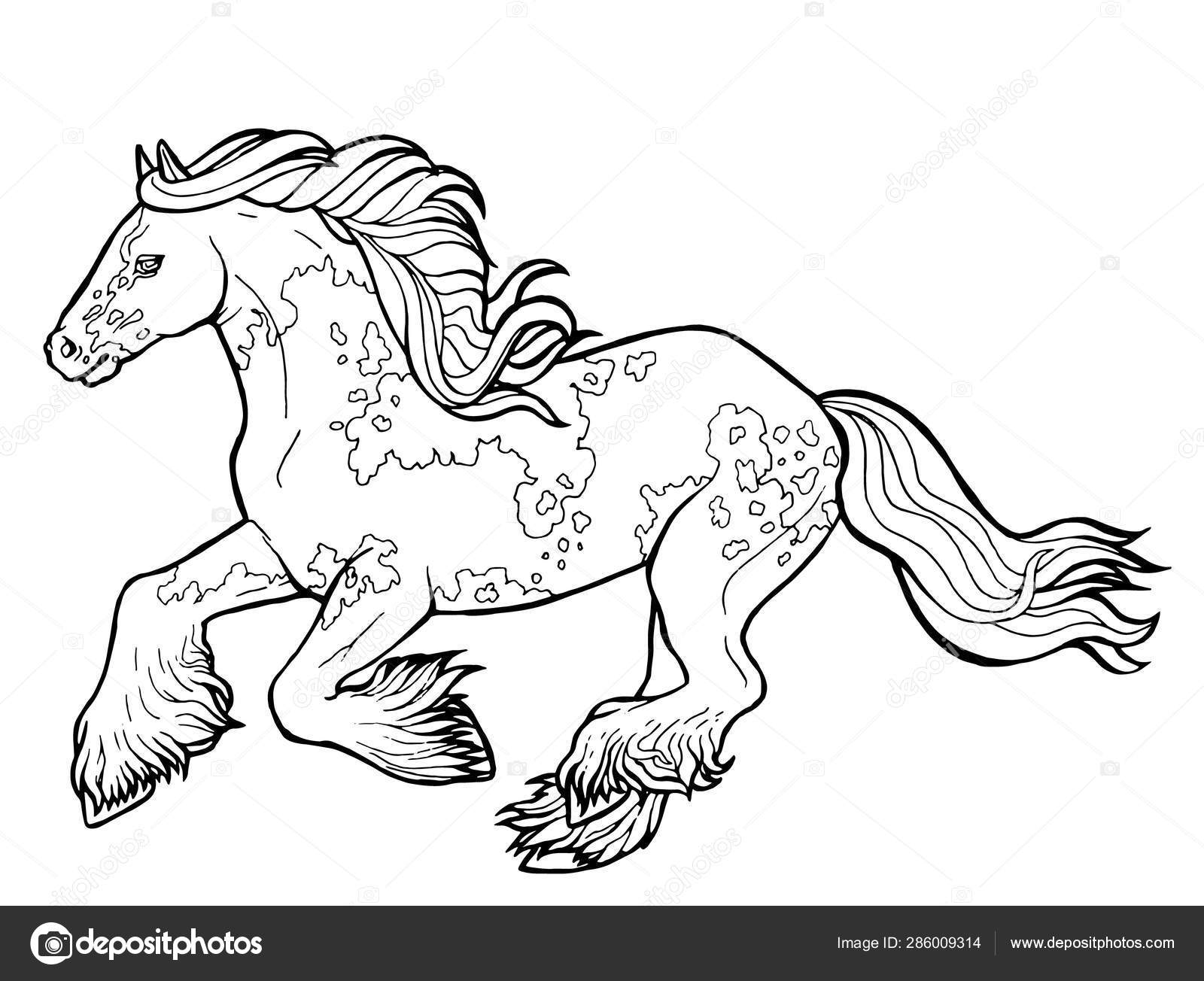 Download Horse runs trot. Coloring book. The horse runs trot ...
