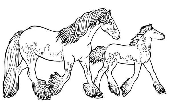 Horse runs trot. Coloring book. The horse runs trot. Coloring book. Tinker is a thoroughbred horse. — Stock Vector