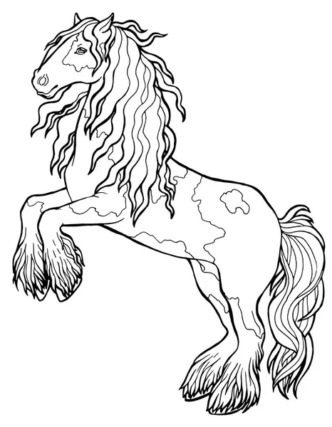 Horse runs trot. Coloring book. The horse runs trot. Coloring book. Tinker is a thoroughbred horse. — Stock Vector