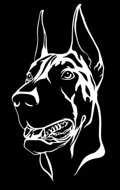 Kırmızı yakalı Doberman portresi. Vektör çizimi.