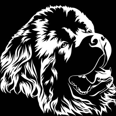 Newfoundland. Kalın uzun saçlı büyük köpek. Büyük cins. En sevdiğin evcil hayvanlar. İnsan dostu. Gerçekçi vektör illüstrasyon.