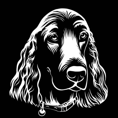 Spaniel köpek el beyaz arka plan üzerinde stok vektör illüstrasyon boyama kitap sayfası çizilmiş anahat