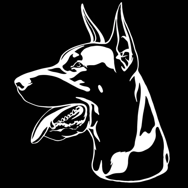 Retrato de Doberman con cuello rojo. Ilustración vectorial . — Vector de stock