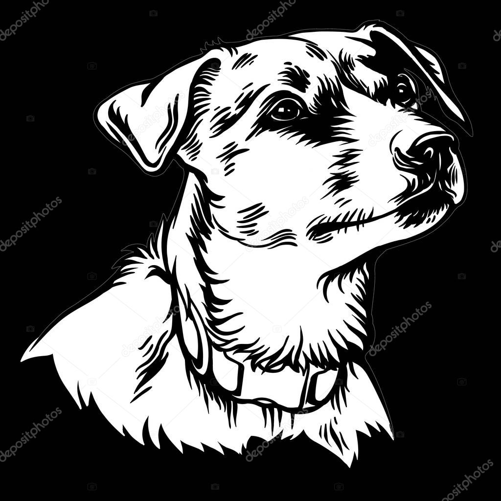 Dog Jack Russell terrier vector logo. Veterinary clinic dog animals medical logotype. Education, training