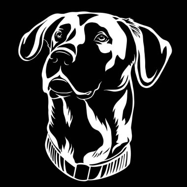 av köpeği Siyah ve beyaz tek renkli bir illüstrasyon
