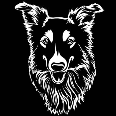 Avustralya Çoban Sheltie köpek ırkı yüz izole evcil hayvan evcil hayvan köpek yavrusu safkan soy ağacı tazı portre gözetleme pençeleri gülümseyen gülümse gülme mutlu sanat sanat illüstrasyon tasarım