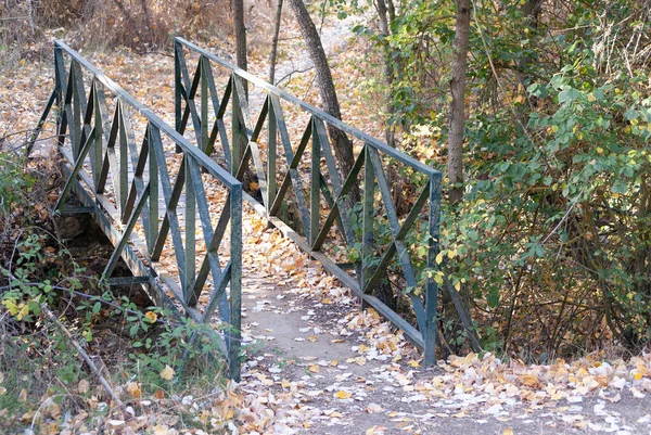 Running place Bridge in autumn — Stock Photo, Image