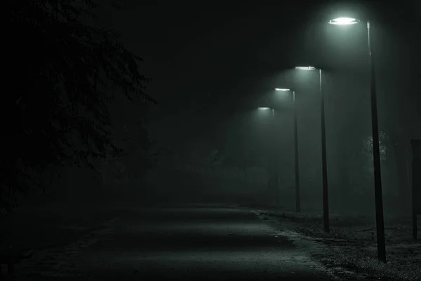 Geceleyin parkın içinden geçerek