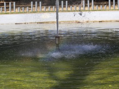 Bahçe işlerinde su serpmek çok tazedir.