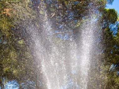 Bahçe işlerinde su serpmek çok tazedir.