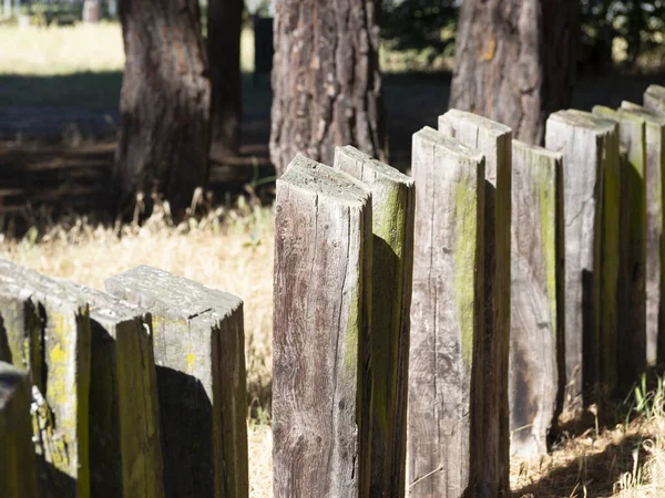 vintage style old wood fence made from Railway sleeper on garden background
