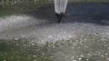 Bahçe işlerinde su serpmek çok tazedir.
