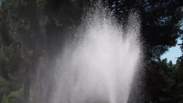 Saupoudrer d'eau est très frais dans le jardinage