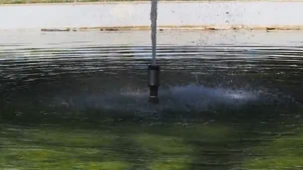 Acqua Spruzza Molto Fresca Nel Giardinaggio — Video Stock