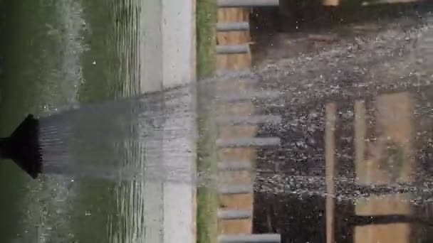 Wasserstreuer Ist Sehr Frisch Bei Der Gartenarbeit — Stockvideo