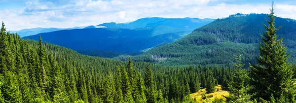 Karpat Dağları Panoraması