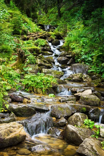 Creek Ukraynalı Karpat Dağları