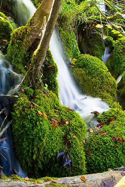 şelale milli park plitvice gölleri