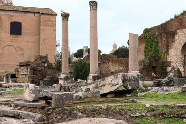 Roma 'daki Forum Romanum