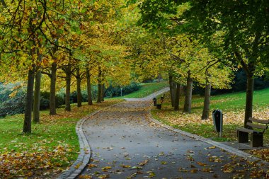 Sonbahar Lüksemburg Parkı