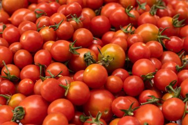 Küçük kırmızı kiraz domates