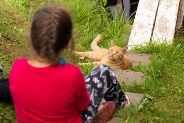 Ragazza Gatto — Foto Stock