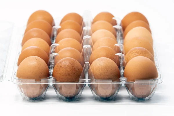 Dos Docenas Huevos Sin Jaula Orgánicos Marrones Recipiente Plástico Aislados —  Fotos de Stock
