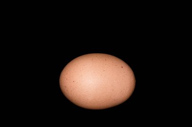 Siyah arka plan üzerine izole kahverengi tek kafes ücretsiz organik yumurta.