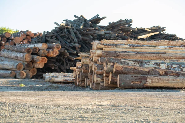 Piles of lumber, timber and recycled wood.