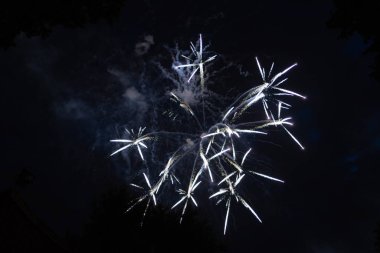 Renkli havai fişek 4 Portland Oregon sahil Park gece gökyüzünde patlayan Temmuz'da, bağımsızlık günü,.