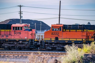 Her tren yolu üzerinde karşı karşıya iki lokomotifler.