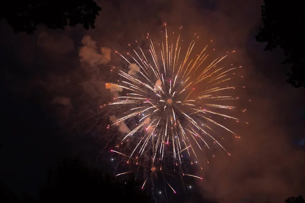 Πολύχρωμα Πυροτεχνήματα Για Την Ιουλίου Ημέρα Ανεξαρτησίας Έκρηξη Στο Νυχτερινό — Φωτογραφία Αρχείου