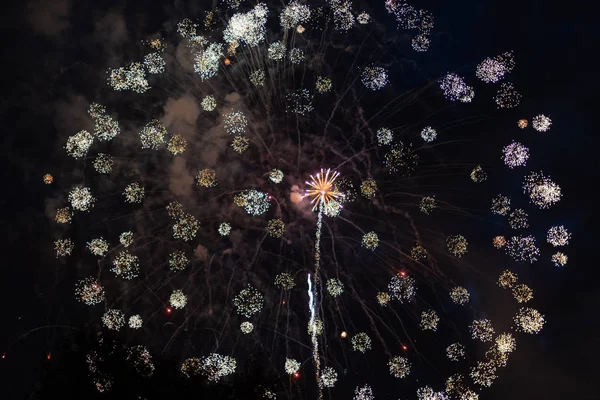 Fogos Artifício Coloridos Dia Julho Dia Independência Explodindo Céu Noturno — Fotografia de Stock