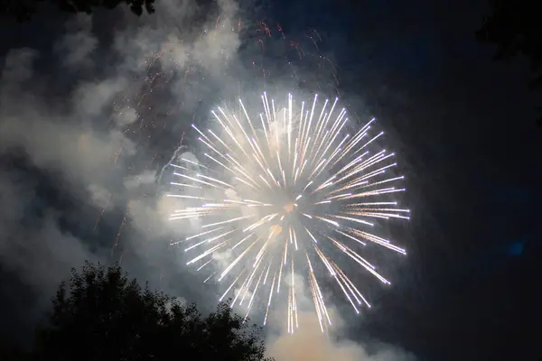 Fogos Artifício Coloridos Dia Julho Dia Independência Explodindo Céu Noturno — Fotografia de Stock