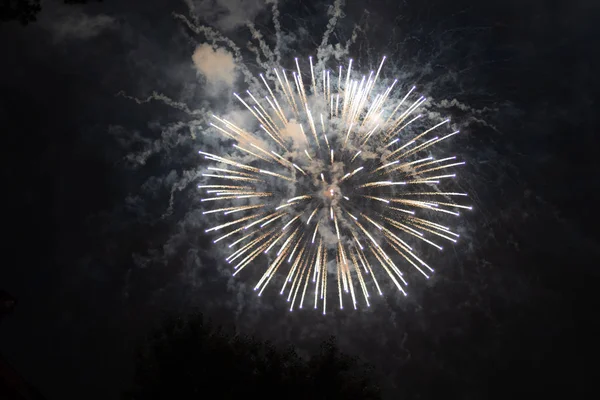 Πολύχρωμα Πυροτεχνήματα Για Την Ιουλίου Ημέρα Ανεξαρτησίας Έκρηξη Στο Νυχτερινό — Φωτογραφία Αρχείου