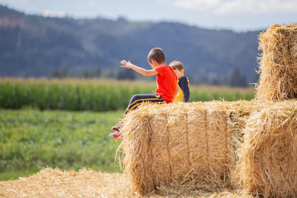 Two kid friends, sitting on a hay block on a bright sunny day. Farm field and mountain outlines in the background