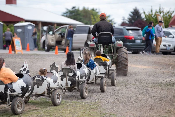 Tractor carrying people in cow toy train cars up the dirt road on the farm.