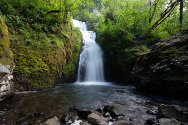 Columbia gorge ormanın ortasında gelin peçe şelale.