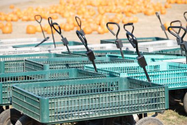 El arabaları kabak yama çiftliğinde