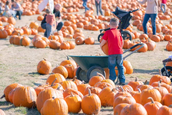 Roloff Farm Usa October 2018 Child Holding Giant Pumpkin Loading — Stock Photo, Image