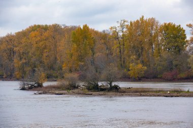 Ağaçlarda sonbahar renkleri ile Willamette Nehri üzerinde küçük ada.
