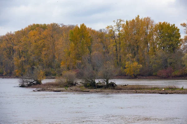 Kleine Insel Fluss Willamette Mit Bäumen Herbstfarben — Stockfoto