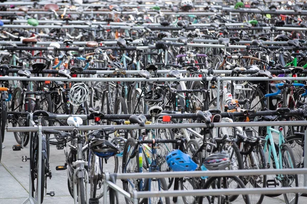 Portland, ya da / Amerika Birleşik Devletleri - 15 Kasım 2018: bisiklet Ohsu Bisiklet Park, çok sayıda satır.
