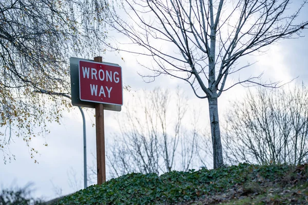 Wrong way sign on the hill, view from below. Late autumn evening.